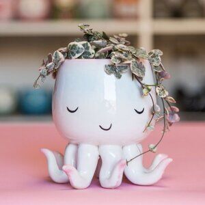Octopus Planter Pot | House Planter Planter